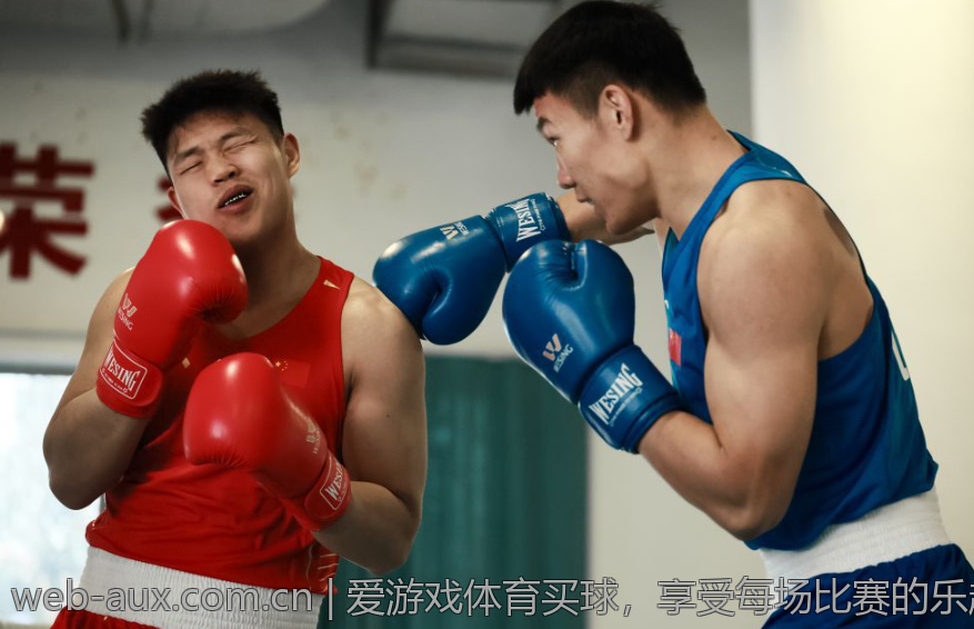 爱游戏体育买球，享受每场比赛的乐趣