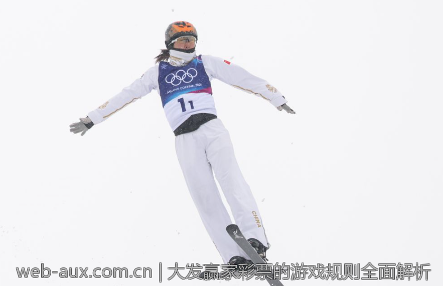 大发赢家彩票的游戏规则全面解析