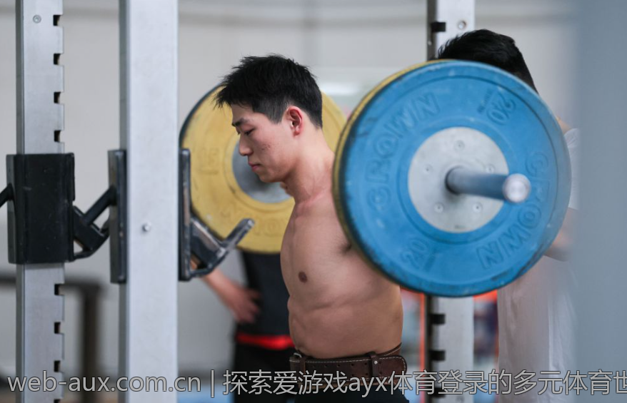 探索爱游戏ayx体育登录的多元体育世界